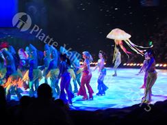 Photo named disney_passport_7910.jpg