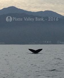 Photo named fullsizerender46.jpg