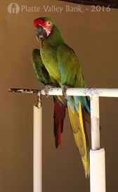 Photo named fullsizerender7.jpg