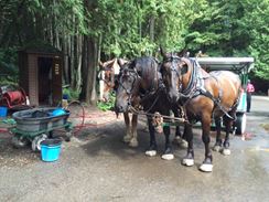 Photo named img_4364.jpg