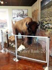 Photo named prog_lunch_p509a.jpg