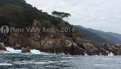 Photo named fullsizerender40.jpg