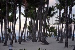 Photo named dsc_0237a.jpg