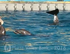 Photo named fullsizerender12.jpg