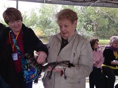 Photo named 2013-11-07-11-06-58.jpg