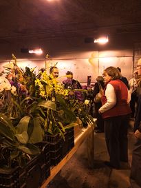 Photo named kcwintergardens13.jpg