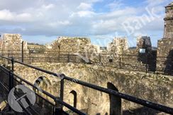 Photo named 2prime-50-club-139.jpg