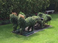 Photo named img_4384.jpg