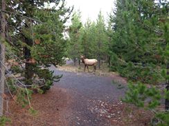 Photo named 2013-09-23-08-08-53.jpg