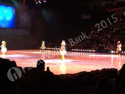 Photo named disney_passport_7827.jpg