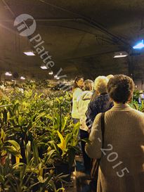 Photo named kcwintergardens10.jpg