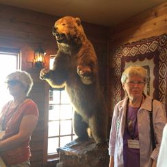 Photo named p50_bigcats3.jpg