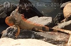 Photo named fullsizerender6.jpg