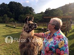 Photo named p50_biltmore_081514_29.jpg