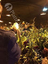 Photo named kcwintergardens9.jpg