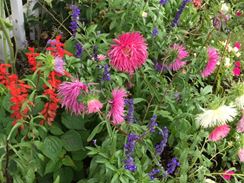 Photo named img_4393.jpg