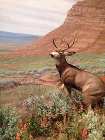 Photo named 2013-09-22-14-30-30.jpg