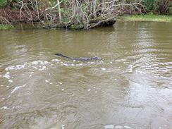 Photo named 2013-11-07-10-42-33.jpg