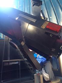 Photo named p50_bigcats15.jpg