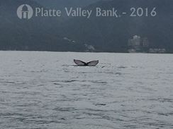 Photo named img_3729.jpg