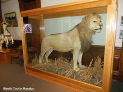 Photo named st-joseph-museum1.jpg