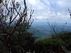 Photo named p50_biltmore_081514_34.jpg