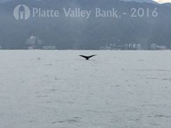 Photo named img_3723.jpg