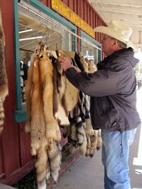 Photo named img_7900.jpg