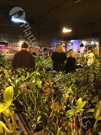 Photo named kcwintergardens8.jpg