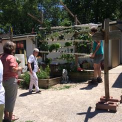 Photo named p50_bigcats11.jpg