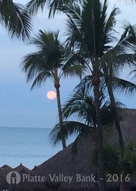 Photo named fullsizerender28.jpg