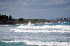 Photo named dsc_0128a.jpg