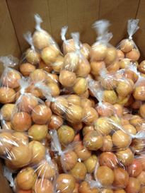 Photo named harvesters9_fb.jpg