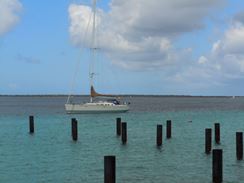 Photo named dscn0802.jpg