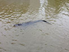 Photo named 2013-11-07-10-55-57.jpg