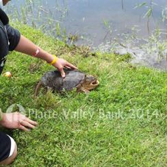 Photo named camp-quality-4a.jpg