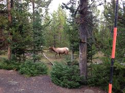 Photo named 2013-09-23-08-08-38.jpg