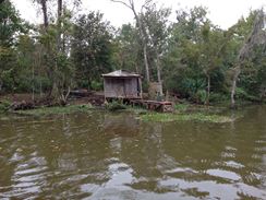 Photo named 2013-11-07-10-27-03.jpg