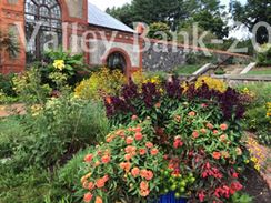 Photo named p50_biltmore_081514_1.jpg