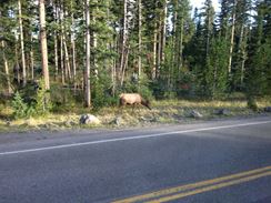 Photo named 2013-09-22-17-49-54.jpg