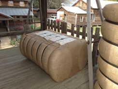 Photo named 2013-11-08-13-04-29.jpg