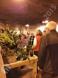 Photo named kcwintergardens12.jpg