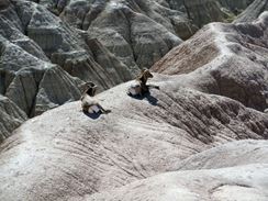 Photo named dscn0049.jpg