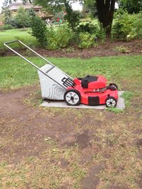 Photo named p50powellgardens_080713_2_fb.jpg