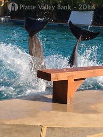 Photo named fullsizerender14.jpg