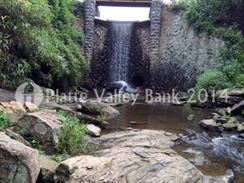 Photo named p50_biltmore_081514_7.jpg