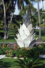 Photo named dsc_0001a.jpg