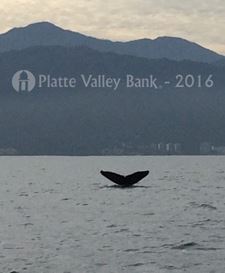 Photo named fullsizerender29.jpg