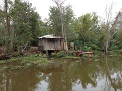 Photo named 2013-11-07-11-16-50.jpg