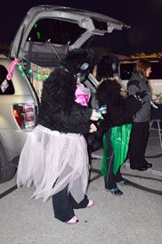 Photo named dsc_0144-copy.jpg